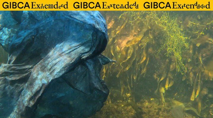 Ett blått tyg flyter omkring, under ytan i ett hav. I bakrunden syns tång.